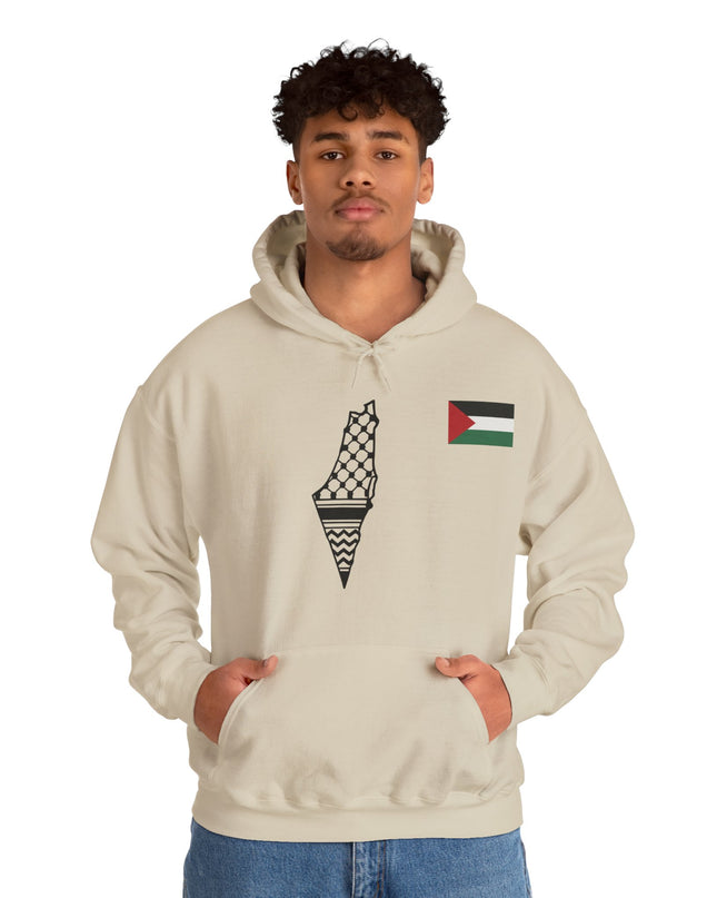 Palestinian Flag Hoodie
